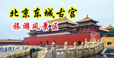 白丝袜美女黄片免费视频中国北京-东城古宫旅游风景区